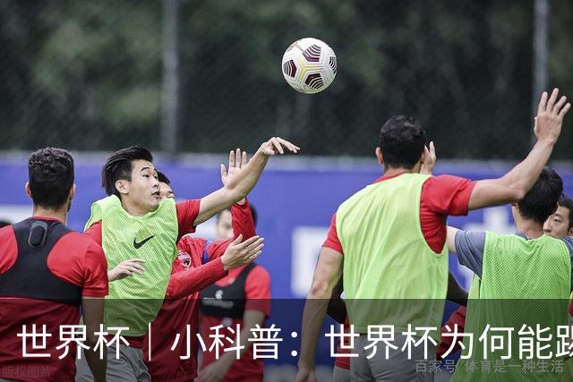 世界杯｜小科普：世界杯为何能踢出那么大的分差？